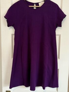 Kate Spade plum colored Bosley swing dress size 4